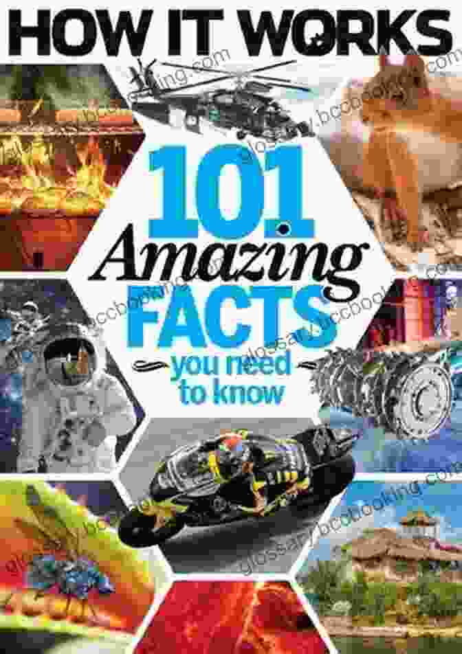 101 Amazing Little Mix Facts Book Cover 101 Amazing Little Mix Facts Jack Goldstein