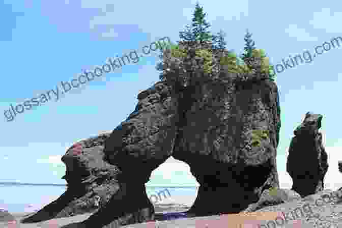 A Close Up Of The Hopewell Rocks, With Their Distinctive Flowerpot Shaped Formations. New Brunswick Canada James Just