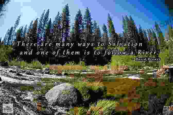 A Quote By David Brower, Superimposed Over An Image Of A Vast Wilderness Landscape. David Brower: The Making Of The Environmental Movement