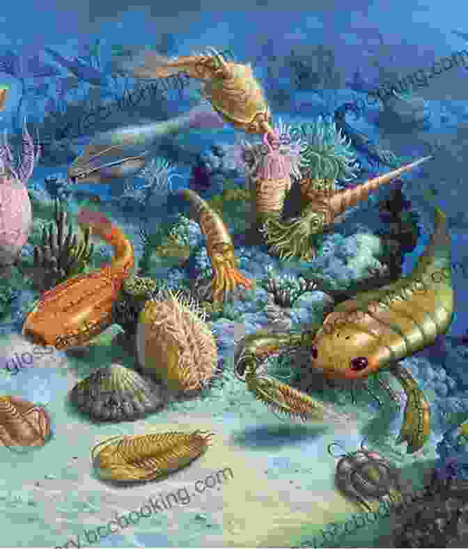 A Vibrant Illustration Of Diverse Precambrian Creatures, From Jellyfish Like Animals To The First Fish. First Life (The River Saga One)