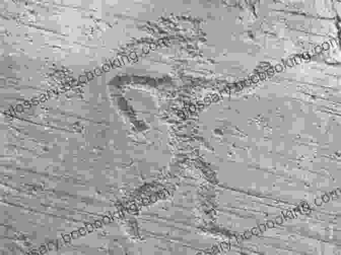Ancient Petroglyph Depicting A Human Figure, Etched Onto A Rock Surface Indian Rock Art Of The Columbia Plateau (Samuel And Althea Stroum Books)