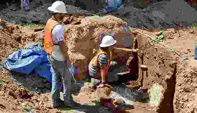 Archaeologist Excavating An Artifact Archaeological Survey (Archaeologist S Toolkit 2)