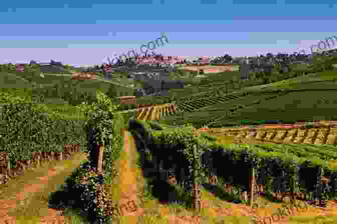 Beautiful Italian Landscape With Rolling Hills, Vineyards, And Mountains My Two Italies: A Personal And Cultural History