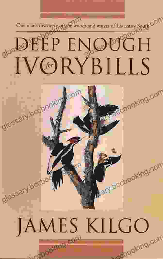 Book Cover Of Deep Enough For Ivorybills By James Kilgo, Featuring A Painting Of An Ivory Billed Woodpecker In Flight Deep Enough For Ivorybills James Kilgo