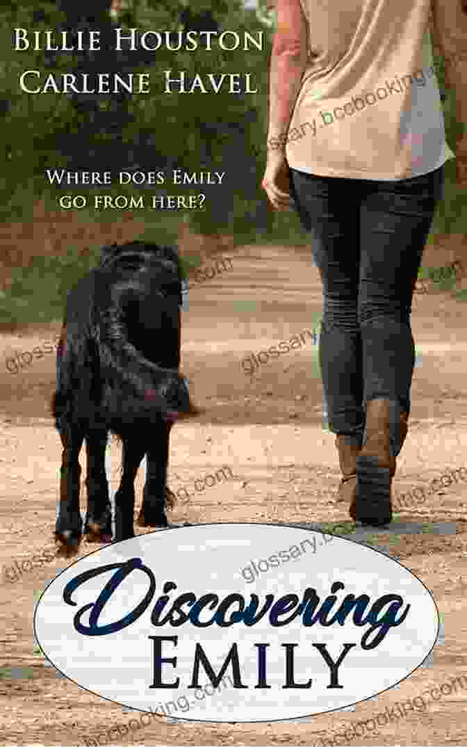 Book Cover Of Discovering Emily Orca: Young Readers Discovering Emily (Orca Young Readers)