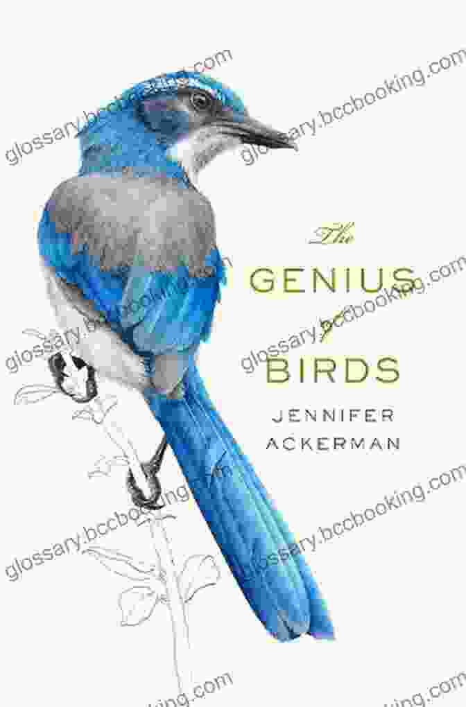 Book Cover Of The Genius Of Birds Jennifer Ackerman