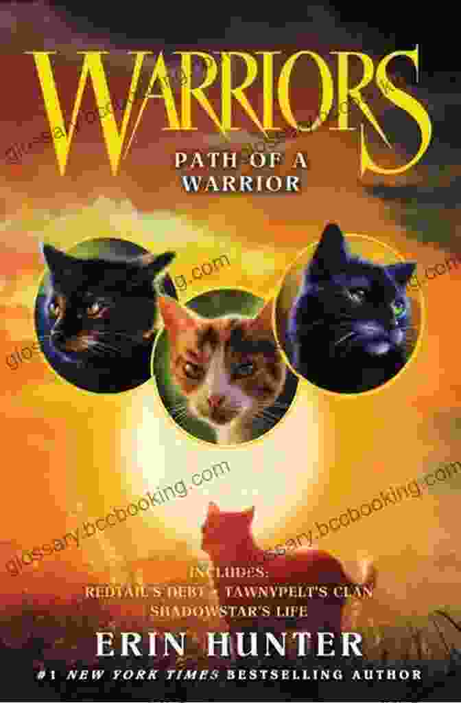 Book Cover Of Warrior Women By James Syhabout Warrior Women James Syhabout