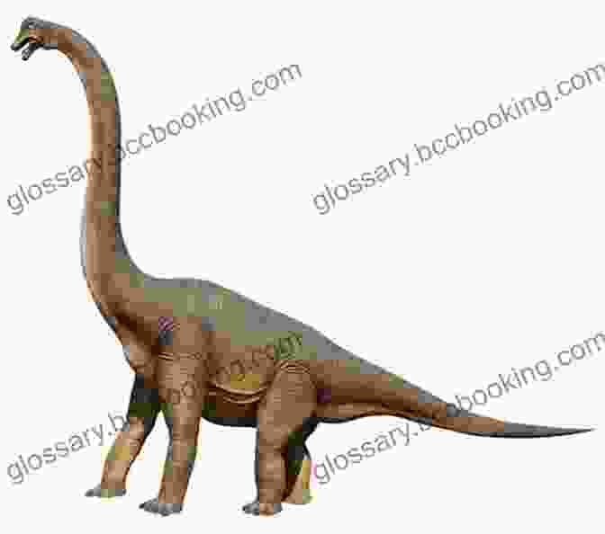 Brachiosaurus, A Massive Sauropod With A Long Neck Dinosaurs: Triassic Jurassic Cretaceous Bird Dinosaurs (Dinosaur 4 Pack Picture (Vols 1 4))