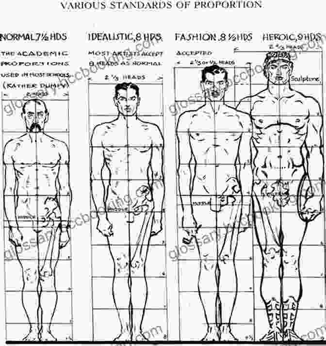 Diagram Of A Human Figure, Illustrating Ideal Body Proportions Anatomical Diagrams For Art Students (Dover Art Instruction)
