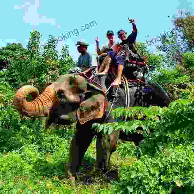 Elephant Trekking In The Jungles Of Thailand Travelers Tales Thailand: True Stories (Travelers Tales Guides)