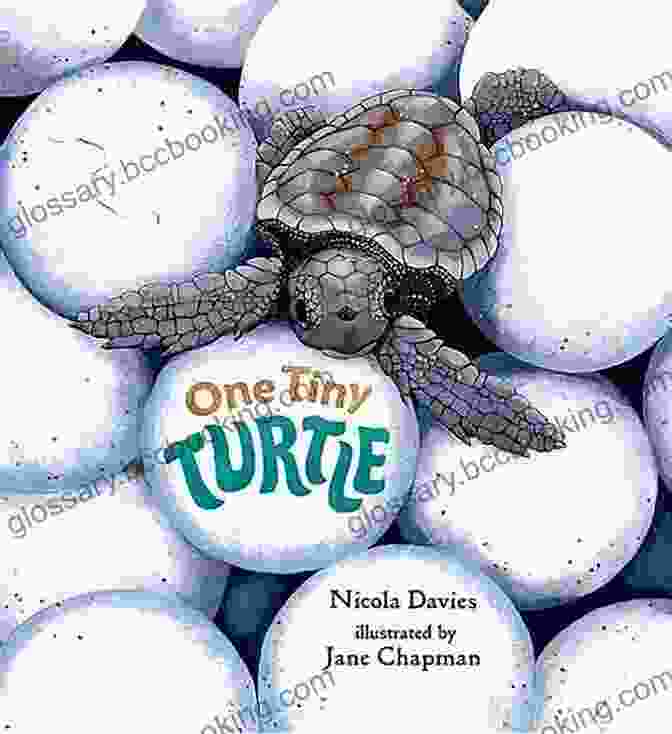 Happy Birthday Tiny Turtle Book Cover, Featuring A Baby Turtle Swimming In A Coral Reef With Colorful Fish. Happy Birthday Tiny Turtle : It S Today A Beach Birthday (Tiny Turtles 1)