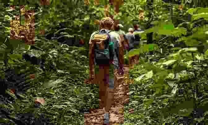Hikers Exploring The Lush Rainforest Trails Of St Martin Roam Around St Martin St Maarten