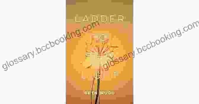 Ladder To The Light Book Cover With Image Of A Luminous Ladder Ascending Towards The Sky Ladder To The Light: An Indigenous Elder S Meditations On Hope And Courage