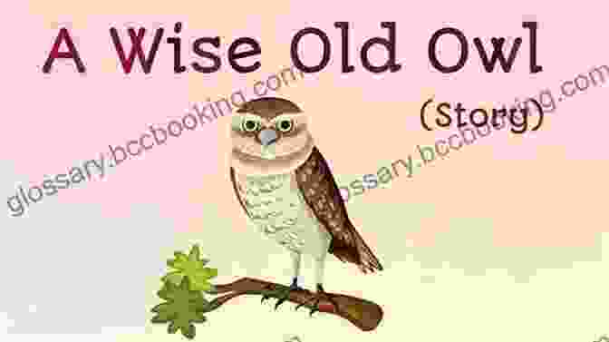 Linda Exploring The Jungle With A Wise Old Owl Children S Book: Happy Birthday Linda A Story About The Birthday Party A Family Gave Their Little Dog: (Bedtime Picture For Beginner Readers Animal Early Learning) (Linda S Adventures 4)