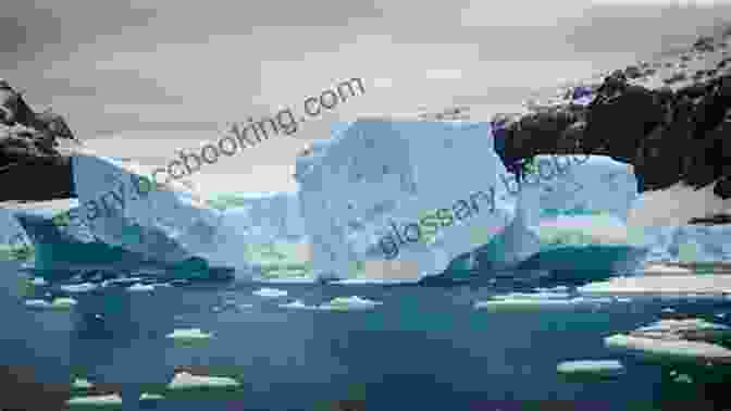 Majestic Icebergs Towering Over Serene Waters Beato Goes To Greenland Sucheta Rawal