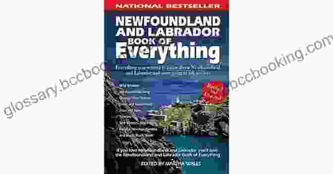 Newfoundland And Labrador Of Everything Book Cover Newfoundland And Labrador Of Everything: Everything You Wanted To Know About Newfoundland And Labrador And Were Going To Ask Anyway
