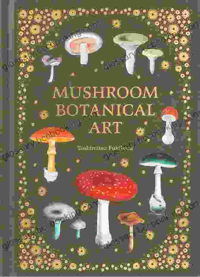 Oona's Mushrooms Book Cover Featuring Vibrant Mushroom Illustrations Oona S Mushrooms: (No Love Too Small)