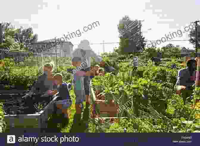 Person Tending To A Vegetable Garden In A Sunny Alaskan Meadow A Practical Guide To Off Grid Living In Alaska