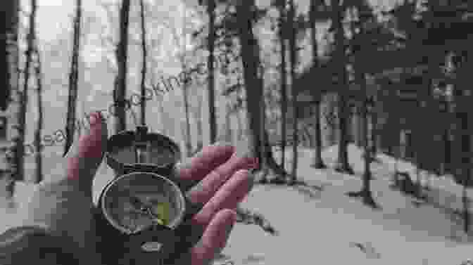 Person Using A Compass In A Forest, With The Sun Shining Through The Trees, Representing The Guidance And Clarity That Fear Can Provide When Understood And Harnessed Effectively. The Fear Project: What Our Most Primal Emotion Taught Me About Survival Success Surfing And Love