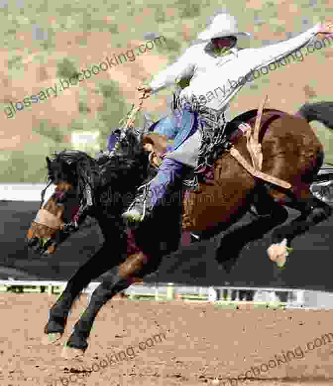 Rodeo Cowboy Riding A Bucking Bronc With Determination Branding In The Rain: A Collection Of Ranching Rodeo Poetry