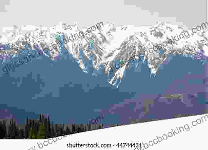 Scenic View Of Hurricane Ridge With Snow Capped Peaks And Lush Greenery A Landscape Photographer S Guide To Olympic National Park