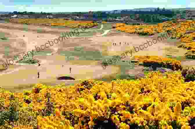 The Royal Dornoch Golf Course Blasted Heaths And Blessed Green: A Golfer S Pilgrimage To The Courses Of Scotland