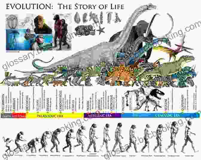 Timeline Depicting Dinosaur Evolution, From Early Reptilian Ancestors To The Rise Of Dinosaurs And Their Eventual Extinction Science Comics: Dinosaurs: Fossils And Feathers