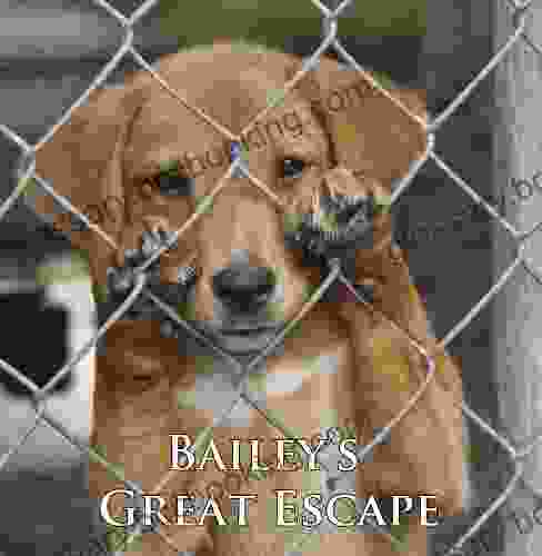 Bailey S Great Escape (A Cute Dog Story)