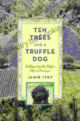 Ten Trees And A Truffle Dog: Sniffing Out The Perfect Plot In Provence