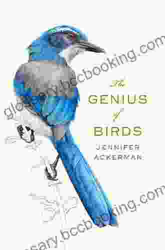 The Genius Of Birds Jennifer Ackerman
