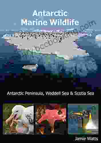 Antarctic Marine Wildlife: Antarctic Peninsula Weddell Sea Scotia Sea